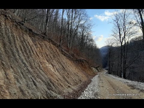 Drumuri noi in Tinutul Pădurenilor