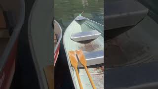 【カナダ紹介】AB州Waterton Lakes National Park #mymountainlife #カナダで田舎暮らし #観光 #カナダ #canada #shorts