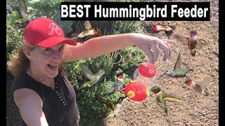 BEST Hummingbird Feeder TIPS Bring Hundreds of Birds to Feed on Your Recipe Nectar