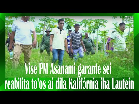 Vise PM Asanami garante sei reabilita to’os ai dila Kalifórnia iha Lautein