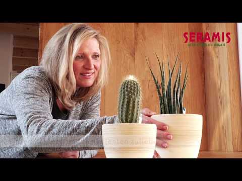 Sistem SERAMIS: v dobro vaših kaktusov in sukulentov (V NEMŠČINI)