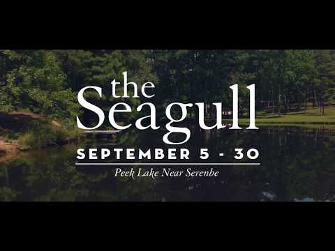 The Seagull Trailer