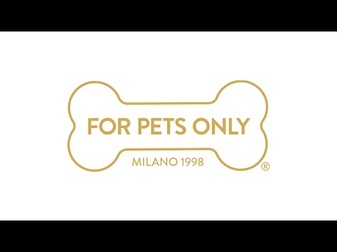 Ducky Bandana Yellow