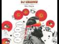 Dj Shadow : Right Thing GDMFSOB Clean Instrumental Version