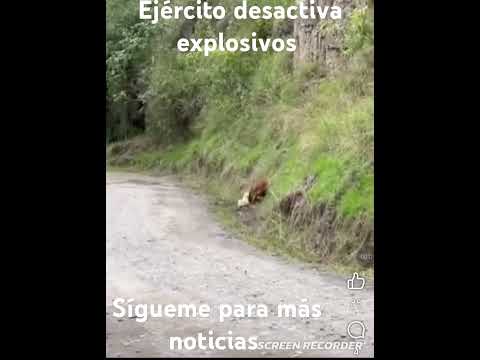 ​🚨 ACCIONES DE SEGURIDAD VITALES EN INZÁ, CAUCA 🚨​