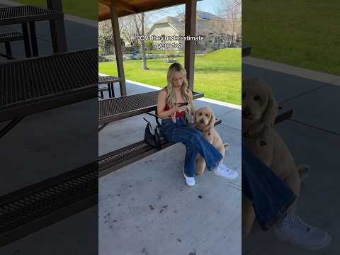 Not on Oliver’s watch #dog #comedy