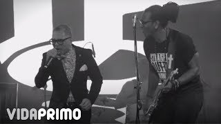 Toque Profundo Feat. Rafa Rosario – Mi Morena/Ramona Live Tq28 Aniversario