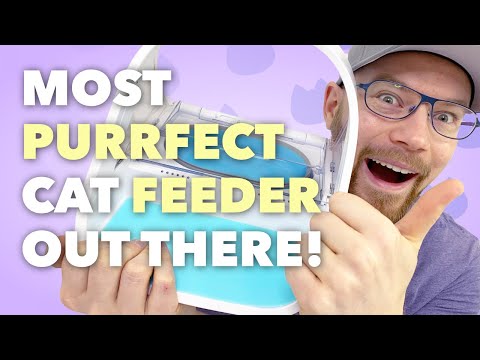 The Best Cat Feeder