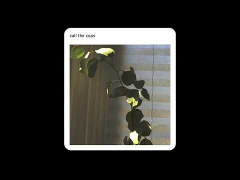 Ray Silvers - Call The Cops