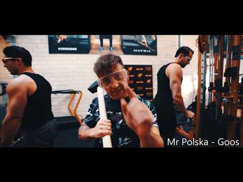 Mr. Polska - Goos