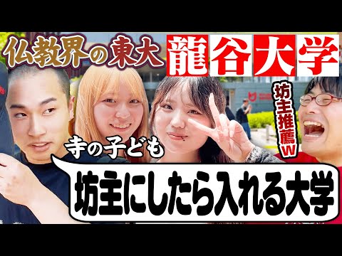 放射線技術学科 【産近甲龍】仏教界のエリート集団！龍谷大学キャンパス調査！【wakatte TV】#1095