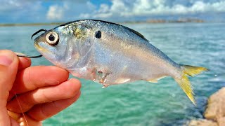 Use THIS Cut Bait Rig To Catch Redfish At The Jetties