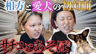 【初対面】急にワンちゃんに会わせたら先輩ママすぎてアッパレwww