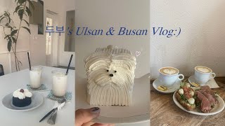 【Vlog】 蔚山&釜山のおすすめカフェ☕️🩵✨| 울산&부산 추천카페 소개☕️🩵✨