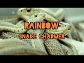 Rainbow - Snake charmer lyrics & sub