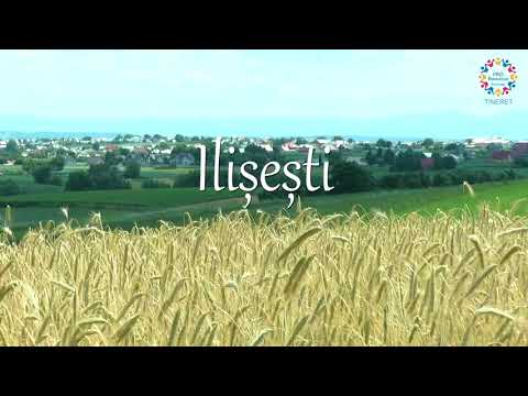 PRO România - Organizația de tineret Suceava