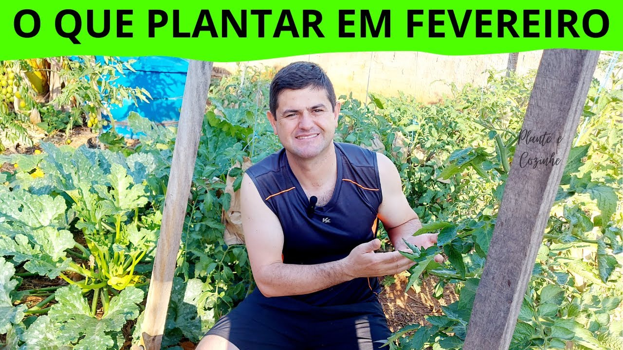 O que PLANTAR em FEVEREIRO e COLHER MUITO na HORTA de QUINTAL aqui no Brasil mais dicas de cultivo