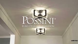 Watch A Video About the Possini Euro Adri Handcrafted Glass Rustic Ceiling Light