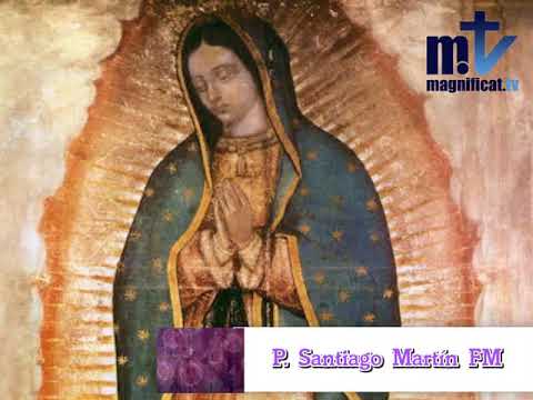 Homilía. 12 de diciembre de 2017. P. Santiago Martín