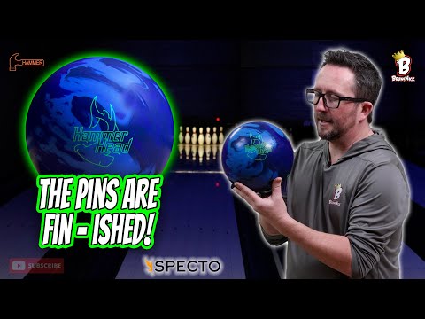 TRUE-BLUE PERFORMER! 🔵 | Hammer Hammerhead