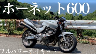 ホーネット600の車体紹介【モトブログ】
