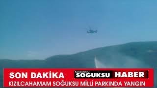 SOĞUKSU MİLLİ PARKINDA YANGIN