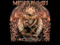 Meshuggah - The Hurt That Finds You First (Lyrics in description)
