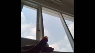 Download lagu Story WA Sebatas teman - Guyon waton cover by AFA cover mp3