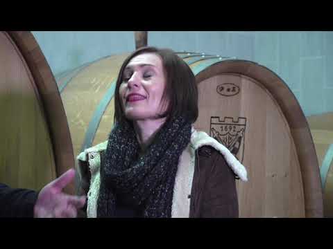 Gastro lutalica - Best of 2019