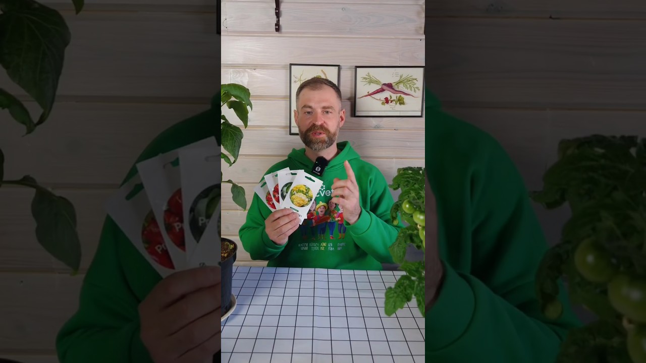 Успейте посеять до 30 марта, иначе хорошей рассады не будет! Что обязательно посеять в марте