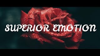 Superior Emotion - AlunaGeorge ft. Cautious Clay ( Lyrics )
