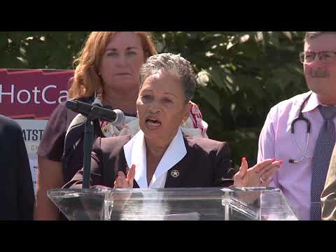 Prevent Hot Vehicle Deaths