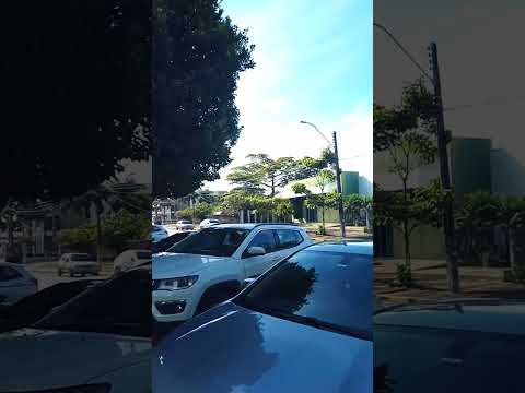 #vilhena #rondonia #amazonia #arvores #natureza #caminhada #vidasaudavel