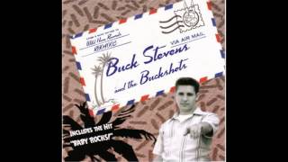 Buck Stevens & The Buckshots   Baby Rocks