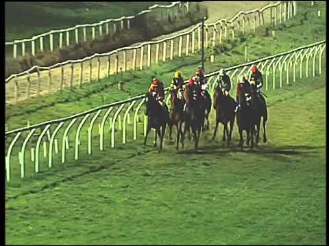 Galoppo 09/02/2016 - 6° corsa