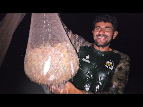 CARDUMES DE CAMARÕES NA PRAIA TODA.