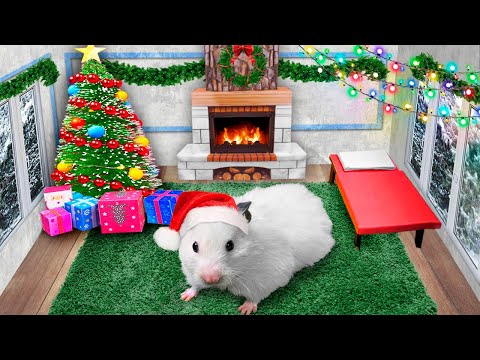 ???? DIY Christmas House ???? Hamster Maze with Traps