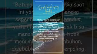 Download lagu Quotes islami | quotes hijrah | kata bijak | kata mutiara | story WA 30 detik | status WA | renungan mp3