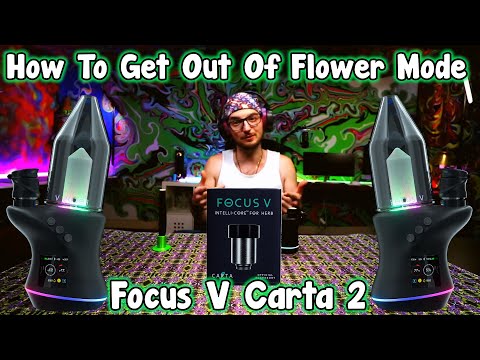 Focus V Carta 2 Stuck In Flower Mode Explained & How To Fix It OR Get it Fixed In 2 Minutes or Less!