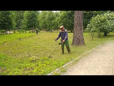 фото «трава не пройдёт» 0