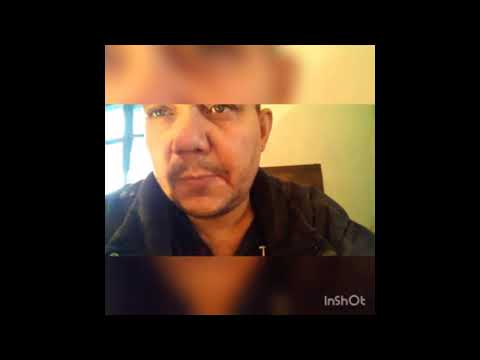 кобб 500 (чехия) 21 сутки