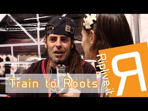 Intervista ai Train to Roots - Big Bang Music Fest 2017 - Nerviano [Riplive.it]
