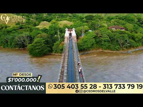 Venta de lotes urbanos Cedros del valle SOPETRAN ANTIOQUIA!!!