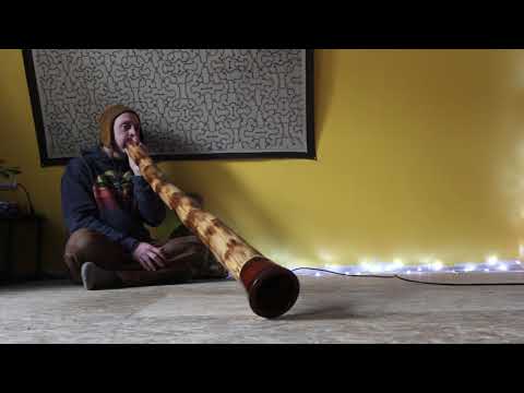Rob Thomas Agave Didgeridoo key of D Demo