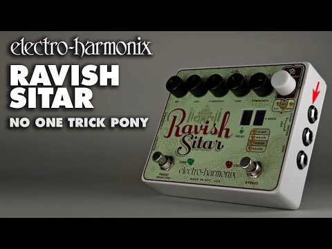 Electro-Harmonix Ravish Sitar Emulator 