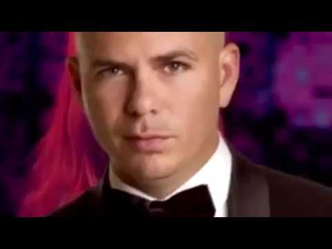 K-Pop Pitbull