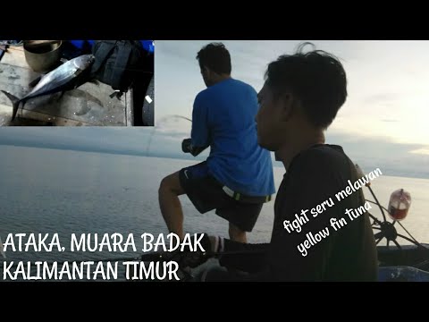 Jigging strike yellow Fin tuna di spot karang dalam ataka muara badak || Samarinda Kalimantan timur