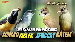 Download lagu KAPAS TEMBAK GACOR - CIBLEK - CUCAK JENGGOT - CUCAK CUNGKO mp3 Download lagu KAPAS TEMBAK GACOR - CIBLEK - CUCAK JENGGOT - CUCAK CUNGKO mp3