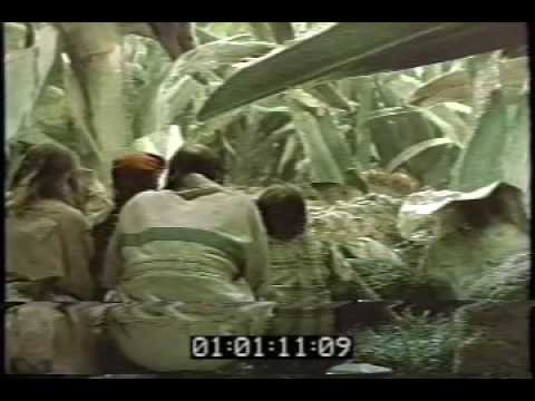 Honey I Shrunk the Kids Project