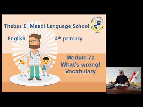 prim4 7a english lamis